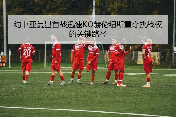 约书亚复出首战迅速KO赫伦纽斯重夺挑战权的关键路径